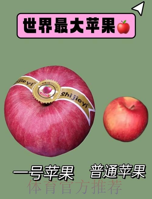 世界杯外围苹果热门